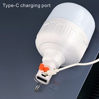 Ampoule LED d'Urgence 20W Rechargeable, Étanche et Lumineuse, Idéale pour Camping, Tente et Maison, Économie d'Énergie