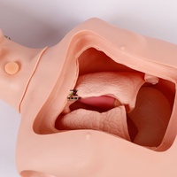 Simulador de Entrenamiento Nasogástrico de Medio Cuerpo, Modelo de Enseñanza de Intubación Endotraqueal, Modelo Anatómico Médico, Maniquí de Enfermería