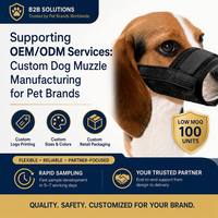En gros Muselière pour chien en maille respirante, anti-morsure, anti-aboiement et anti-mastication, réglable, souple, perméable à l'eau, pour dressage, accessoires