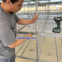 Cage à poulets empilable galvanisée résistante à la corrosion avec plancher en plastique pour élevage de poulets de chair en ferme avicole