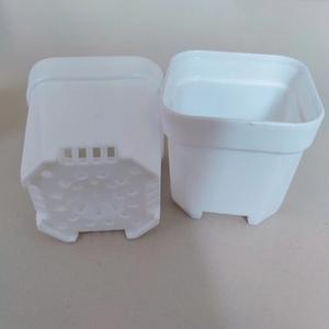 Macetas Cuadradas Blancas <span class=keywords><strong>de</strong></span> Plástico <span class=keywords><strong>de</strong></span> 4 cm <span class=keywords><strong>de</strong></span> Calibre para Plantas Suculentas, Mini Macetas Blancas para Cultivo <span class=keywords><strong>de</strong></span> Bonsáis - Product Image 3