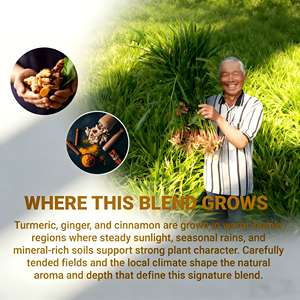 OEM Turmeric Ginger Cinnamon Herbal Tea 20 Bags 100% Natural Caffeine Free Sugar Free for <b>Wellness</b> Digestion - Product Image 4