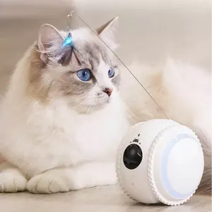 Jouet intelligent pour animaux de compagnie Jouet pour chat à boule roulante interactive automatique intelligente avec caméra HD Stocké