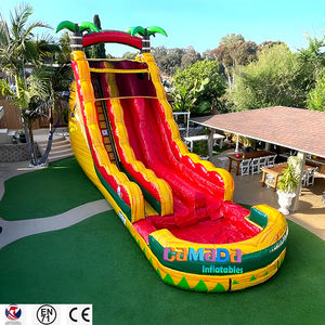 Tobogán Acuático Inflable para Exteriores, Precio de Fábrica, en Oferta, para Uso Residencial, Escolar, con Certificado CE - Product Image 3