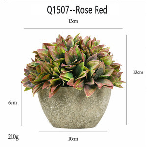 Hot Selling Artificial Succulents <strong>Plants</strong> Mini Artificial <strong>Potted</strong> <strong>Plants</strong> <strong>Small</strong> <strong>for</strong> Office Desk Decoration - Product Image 6