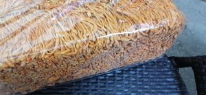 Nguyên liệu tự nhiên sạch lỗi giết chết Đông Trùng Hạ Thảo Khô lỗi giết Đông Trùng Hạ Thảo nấm để bán - Product Image 2