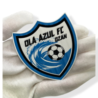 Vente en gros de logos personnalisés écologiques pour équipes de football, impression 3D, transfert thermique avec TPU