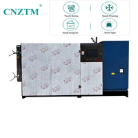 100kg automatique fruits secs lyophilisation fruits secs et légumes déshydratés lyophilisateur lyophilisateur de pulvérisation sous vide