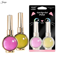 Kit de gel UV pour ongles effet œil de chat scintillant de haute qualité avec 2 pinceaux à double embout et 1 baguette magnétique pour les magasins de produits de beauté