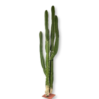 Grand Cactus de 3.2 mètres de haut, plante du désert avec haute simulation et sensation tactile réaliste, pilier immortel
