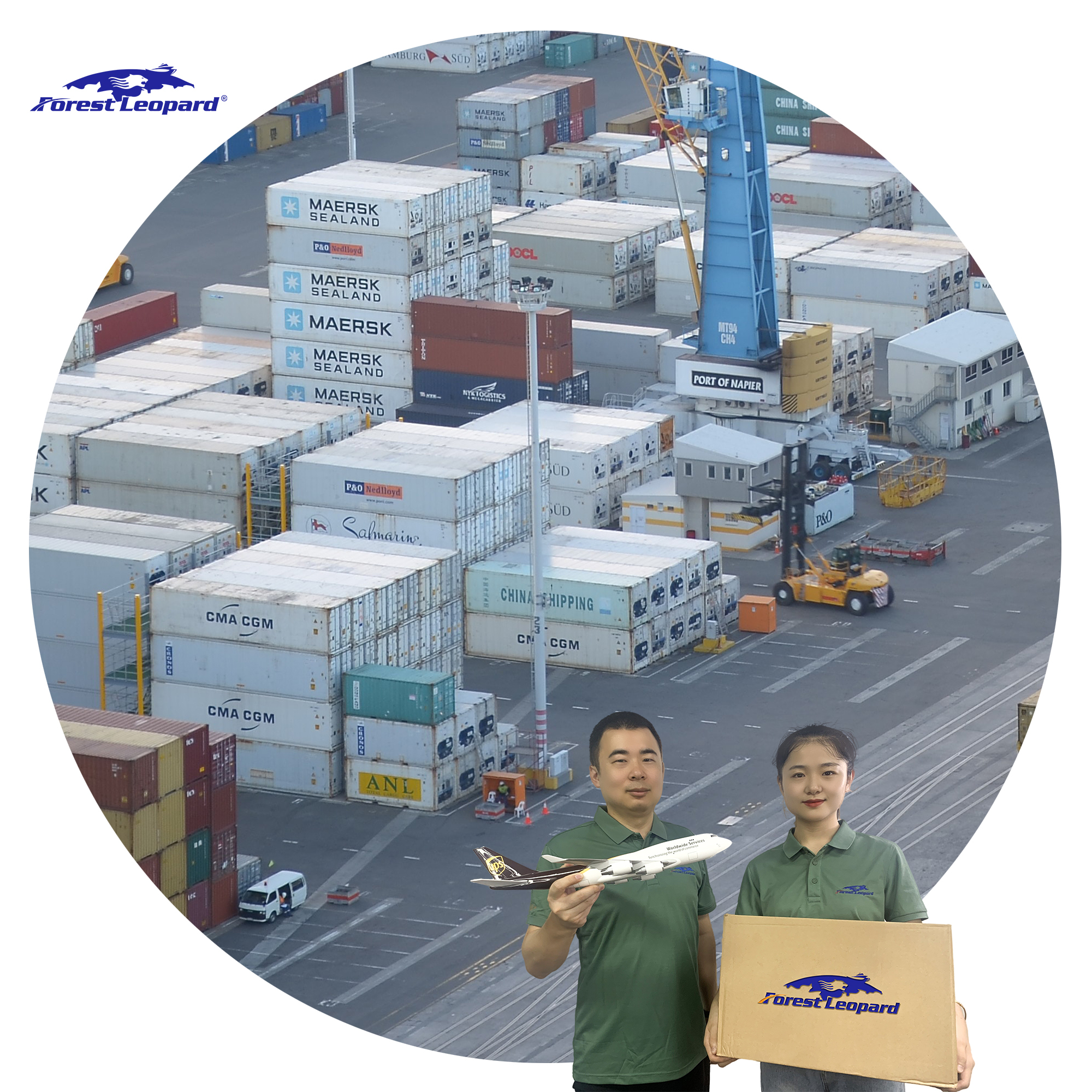 Taobao Tmall 1688 Seafreight Forwarder Cargo Shipping Rates to Dubai USA UK  Free Insurance LAS1 Alibaba.com