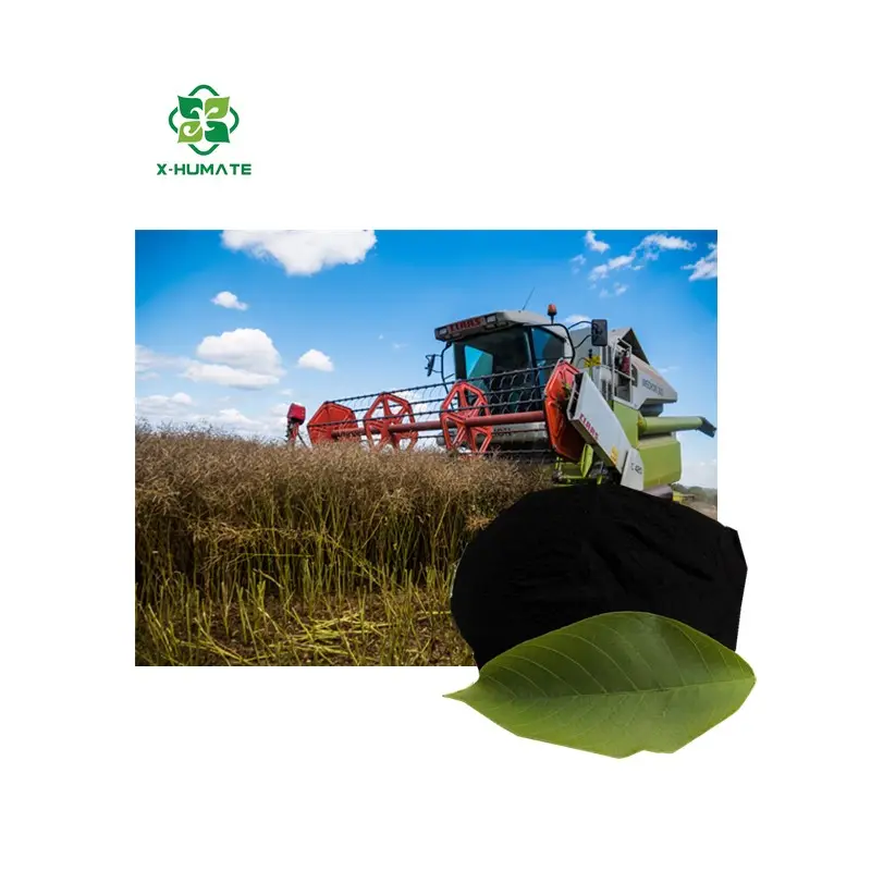 X-humate Humic axit khô bột hữu cơ Phân bón tăng trưởng thực vật chất dinh dưỡng