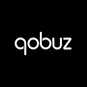 Abonnement Qobuz Musique 12 mois, abonnement au compte Qobuz, 1 mois pour les États-Unis et l'Europe - Product Image 4