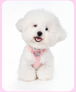 हल्के एंटी-एस्केप छोटे नस्ल कुत्ते का दोहन और पट्टा सेट वाटरप्रूफ समायोज्य निहित निहित निहित है - Product Image 6