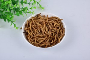 Vers de farine séchés à haute teneur en protéines pour les grenouilles de poissons Additifs alimentaires pour chiens - Product Image 2