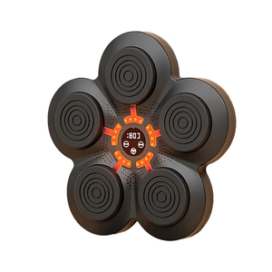 LADYGLOW, Equipo de Boxeo inteligente de entrenamiento de alta calidad, máquina de boxeo musical montada en la pared - Product Image 1