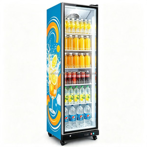 Nuevo y Duradero Exhibidor de Vidrio de Una Puerta para Venta al por Mayor de Congeladores de Bebidas Lácteas en 2026 - Product Image 4