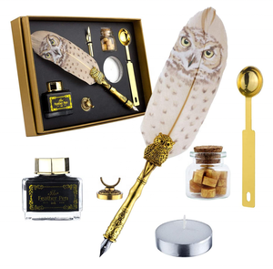 2022 जादू स्कूल पंख कलम सेट उल्लू पंख कलम उपहार बॉक्स रेट्रो पानी फाउंटेन पेन सेट - Product Image 4