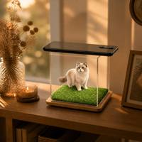 Boîte numérique holographique commémorative pour animaux de compagnie, projection 3D, présentoir en acrylique, pour chats et chiens, condoléances pour la perte d'un animal, fournisseur de services funéraires pour animaux de compagnie
