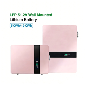 <b>48V</b> 5kWh Lithium Iron Phosphate <b>Battery</b> with Advanced BMS Protection for Mobile Applications, 51.2V Home Solar System - Product Image 5