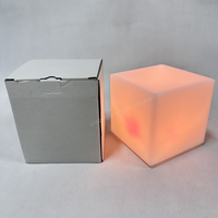 Lampada da Tavolo Ricaricabile OEM ODM con Logo Personalizzato, Luce Notturna LED Impermeabile Colorata per Decorazione Giardino