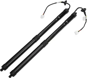 Bueno Rear Tailgate Power Lift Supports Struts Compatible with Nissan Rogue 2014-2019 Sport Utility #905614BA4A