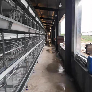 Đa Chức Năng Hoàn Toàn Tự Động Pin Gà Lồng Hệ Thống Mới Đóng Gia Cầm Nông Nghiệp Nhà Đa Chức Năng Ăn Cho - Product Image 6