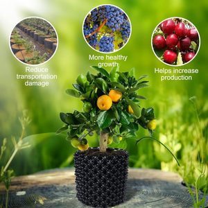 Chậu kiểm soát rễ cây, chậu tỉa rễ bằng PVC dày, thoáng khí, hộp đựng giúp rễ phát triển nhanh - Product Image 4