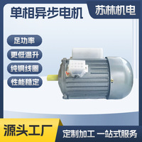Moteur monophasé horizontal/vertical série JY, cylindre en fer, 370W/550W/220V, 4 niveaux, personnalisation possible