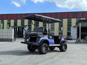 Carrito de golf de carga cochecito eléctrico mini coche eléctrico - Product Image 6