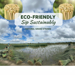 Pailles en herbe naturelle écologiques de 200 mm, non emballées, en herbe de laitue, 10/20 pièces/lot, pailles biodégradables pour le camping, utilisation à chaud/à froid - Product Image 4