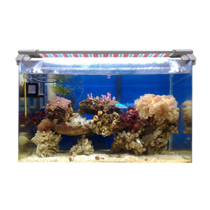 Lámpara de Cultivo Completo de 6W para Peceras Familiares, Luz LED para Plantas Acuáticas, Corales y Peces Marinos - Product Image 1