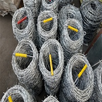 Alambre de Púas Galvanizado por Inmersión en Caliente |   Rollo de Alambre de Púas Recubierto de PVC Anti-Escalada para Cercas de Seguridad Perimetral