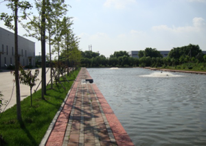 Premix di maiale di lievito di birra naturale al 100% polvere di polipeptide Immune ricca di oligoelementi organici, minerali, vitamine - Product Image 6