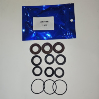 Pièces de rechange en gros pour laveuses : Kit de joints d'étanchéité pour pompe à piston Annovi Reverberi 18 mm, Code 1857, pour pompes AR