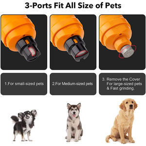 Bdcat — ponceuse à ongles électrique personnalisé NG30, jaunes, <span class=keywords><strong>Amazon</strong></span>, haut professionnel, sécurisé, <span class=keywords><strong>pour</strong></span> chats et chiens, Dremel - Product Image 6