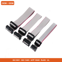 Câble plat IDC personnalisé avec connecteur FC, faisceau gris UL2651 pour connexion de signal PLC sur carte de contrôle industrielle