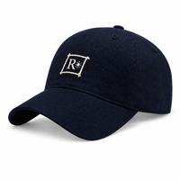 Casquettes de papa structurées à 6 panneaux en pur coton, avec logo brodé personnalisé en relief 3D, respirantes, style streetwear, vente en gros OEM