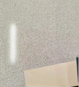 Pintura Epóxica para Pisos Autonivelante Resistente a Manchas de Aceite, con Película Densa No Porosa, Resina Epóxica Anti-Grasa - Product Image 6