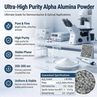 Polvo de Alúmina de Alta Pureza 5N, 99.999% Al2O3, Nano Polvo para Aplicaciones de Semiconductores