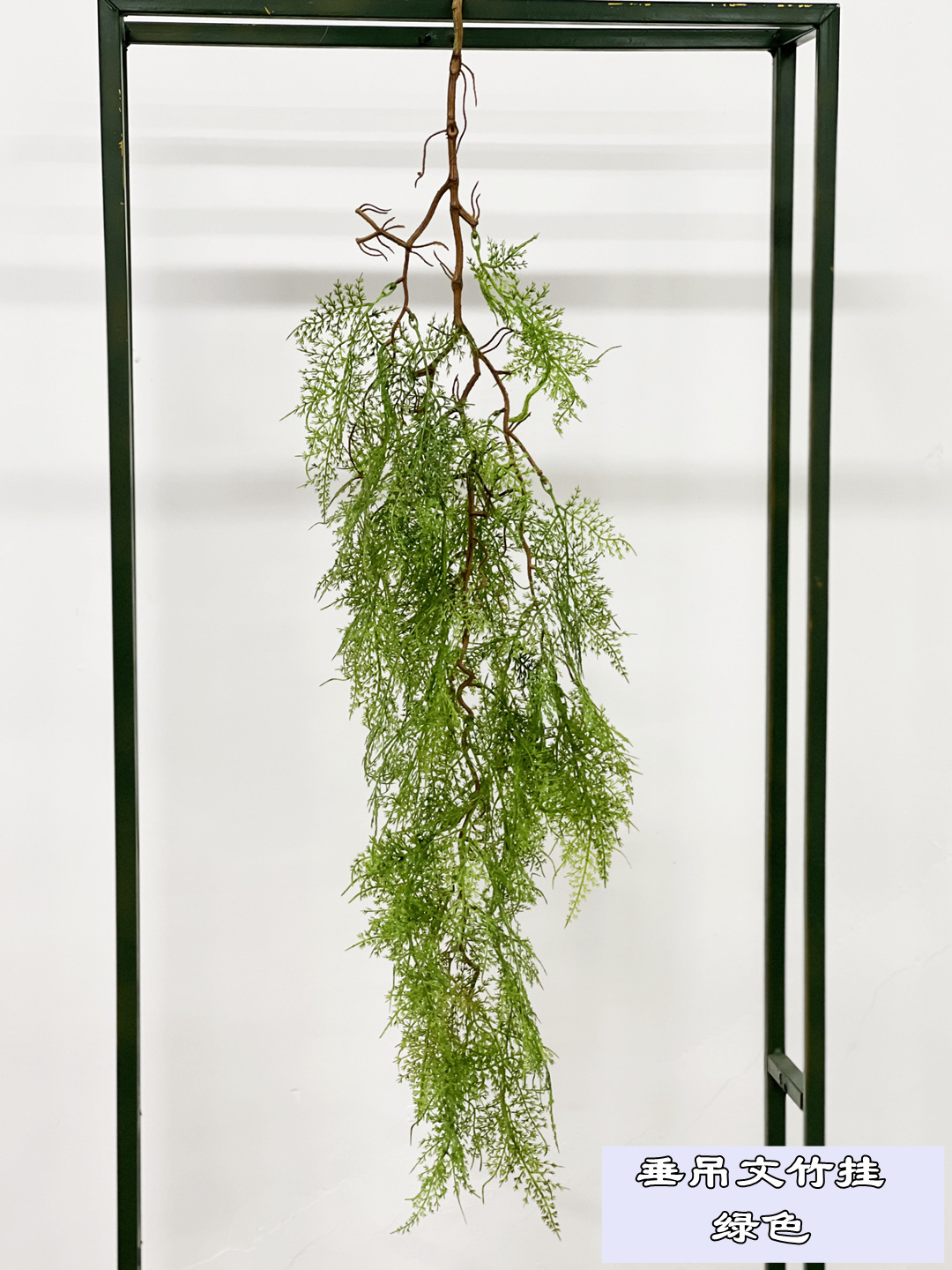 Hanging asparagus hanging green