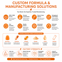 Gummies Premium Sans Sucre à Base de Fibres pour le Soutien Quotidien de la Santé Digestive, Stimulant de la Régularité à Base de Plantes, Fabricant ODM en Marque Blanche