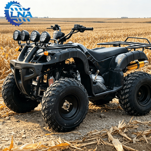 Cuatrimotos LNA a <span class=keywords><strong>Precio</strong></span> Accesible, Motor de Gasolina de 250cc, para Turismo y Negocios - Product Image 1