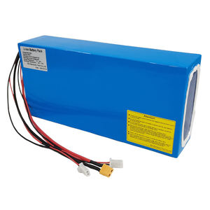 Batteria al Litio 36V 48V 52V 60V 40Ah con BMS 60A e Caricabatterie 4A NCM per Motori da 250W-2200W per E-bike, E-trike, E-scooter, Moto - Product Image 2