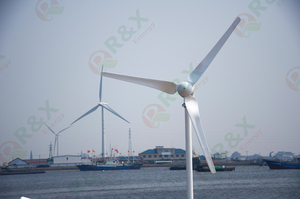 Generador Eólico de 48V, 5 Aspas, 1 KW, Modelo RX-1000H5, Generador de Imán Trifásico, Certificado CE, Precio de Fábrica, Rotor Personalizado RX-1000H5 - Product Image 5
