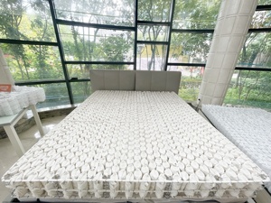 Mật độ cao gel Bộ nhớ bọt Nệm bông vải túi mùa xuân đơn vị thép carbon tùy chỉnh kích thước nén hộp phong cách cuộn dây - Product Image 6