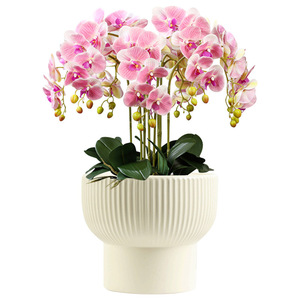 Set Bunga Anggrek Mini Bonsai Niceway Putih 5 Tangkai Sentuhan Asli Gaya Pedesaan Porselen Berlapis Dekorasi Rumah dan Taman - Product Image 5