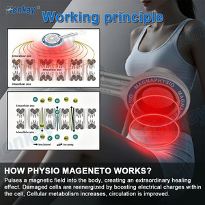 Dispositivos Portátiles de Terapia Electromagnética, Máquina de Terapia Magnética de Alta Intensidad para Profesionales de Rehabilitación - Product Image 6
