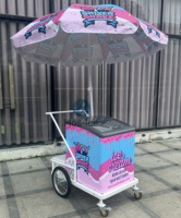 Chariot de vente ambulante pour desserts, glaces italiennes, avec refroidissement direct, 2 portes et 2 étagères, congélateur de présentation pour bâtonnets glacés