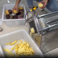 Restaurant Multifunctionele Fruit & Groente Frietstokjes Snijmachine met Motor 304 RVS voor Commercieel Gebruik